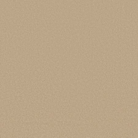 Shaw Floors Magic At Last IV 12 Cameo