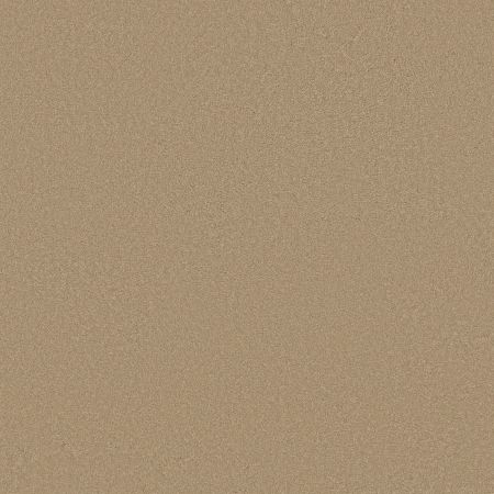 Shaw Floors Magic At Last IV 12 Antique White