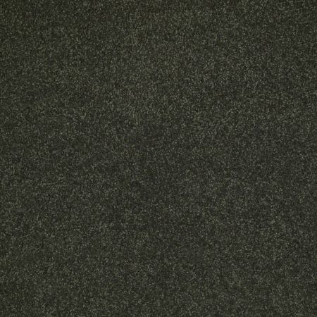 Shaw Floors SFA Shingle Creek IV 12' Lilly Pad