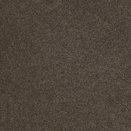 Shaw Floors SFA Shingle Creek IV 12' Arrowhead