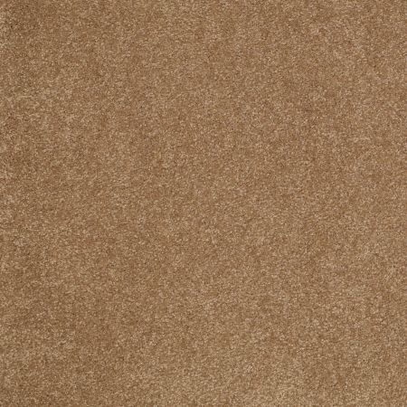 Shaw Floors SFA Shingle Creek IV 12' Windmill