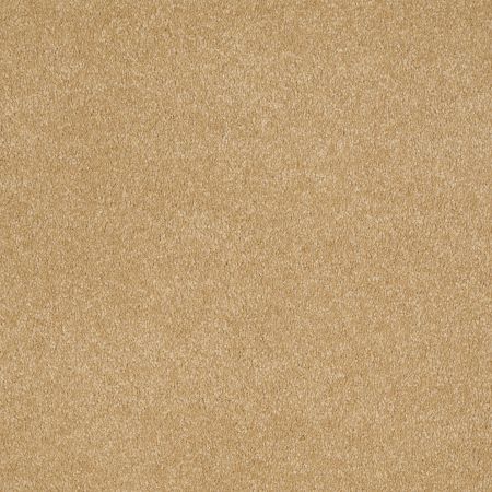 Shaw Floors SFA Shingle Creek IV 12' Cork