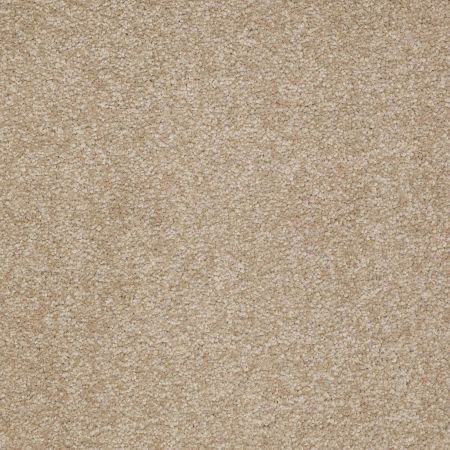 Shaw Floors Magic At Last IV 15' Cardboard