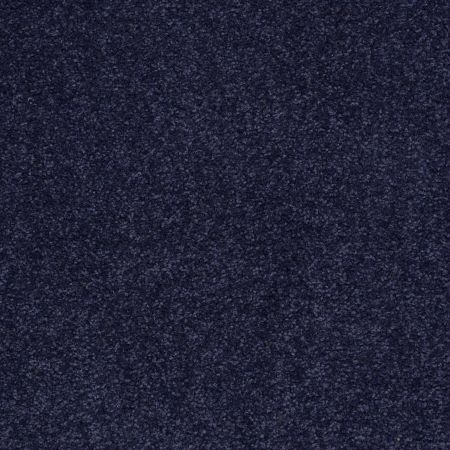 Shaw Floors Magic At Last IV 15' Blue Ink