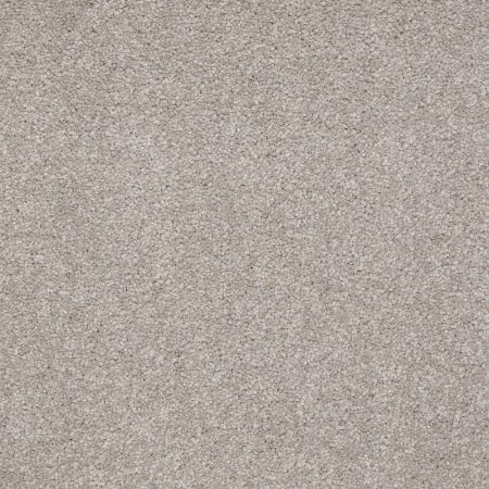 Shaw Floors SFA Shingle Creek IV 15' London Fog
