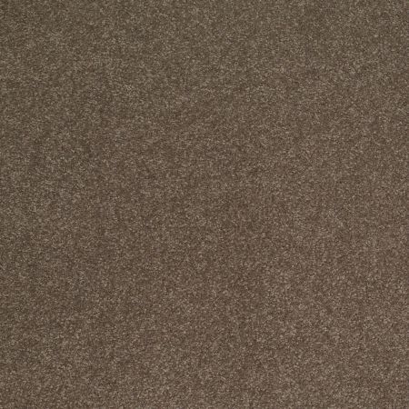 Shaw Floors SFA Shingle Creek IV 15' Castle Rock