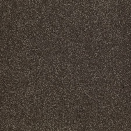 Shaw Floors SFA Shingle Creek IV 15' Arrowhead