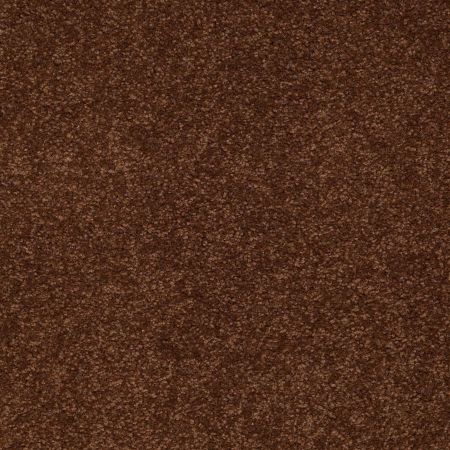 Shaw Floors SFA Shingle Creek IV 15' Tortoise Shell