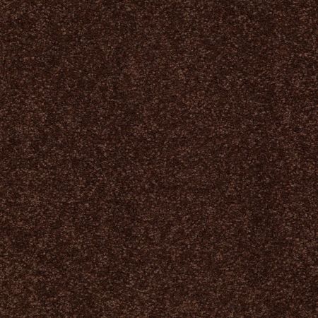Shaw Floors SFA Shingle Creek IV 15' Coffee Bean