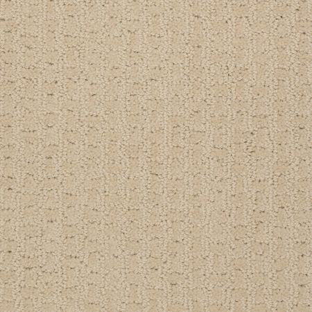 Shaw Floors SHAW FLOORING GALLERY Modern Beauty Linen