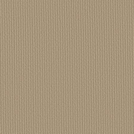 Shaw Floors ST JUDE Bold Attitude Cameo