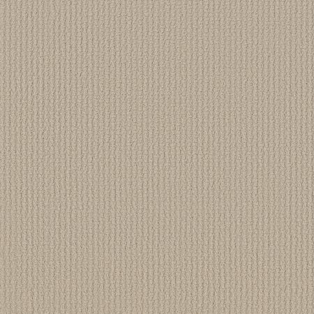 Shaw Floors SHAW FLOORING GALLERY Fast Lane Canvas