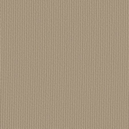 Shaw Floors FOUNDATIONS Complete Control Boutique