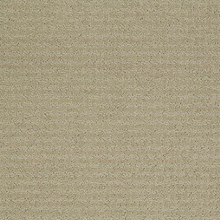 Shaw Floors ST JUDE Bold Attitude Khaki