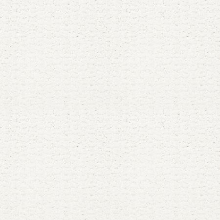 Shaw Floors FOUNDATIONS Complete Control White Hot