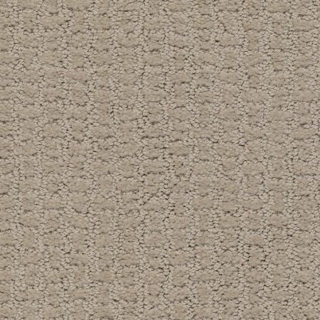 Shaw Floors FOUNDATIONS Complete Control Studio Taupe