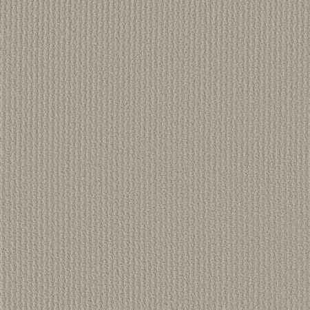 Shaw Floors FOUNDATIONS Complete Control Quiet Moment