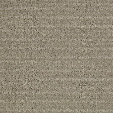 Shaw Floors SHAW FLOORING GALLERY Fast Lane Gray Flannel