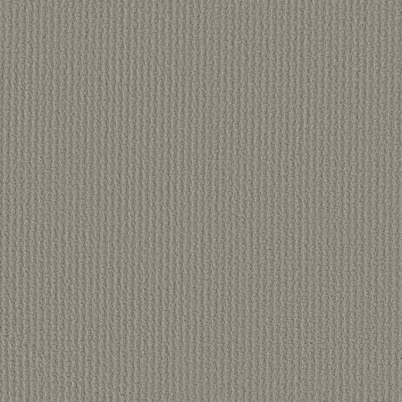 Shaw Floors FOUNDATIONS Complete Control Silhouette