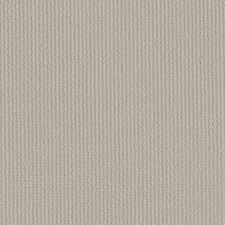 Shaw Floors FOUNDATIONS Complete Control Rock Crystal