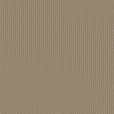 Shaw Floors SHAW FLOORING GALLERY Fast Lane Mushroom