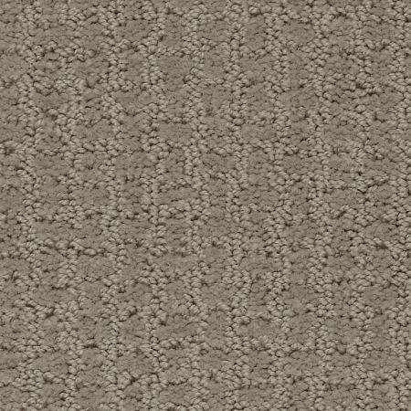 Shaw Floors FOUNDATIONS Complete Control Park Avenue