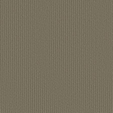 Shaw Floors FOUNDATIONS Complete Control Abbey Stone