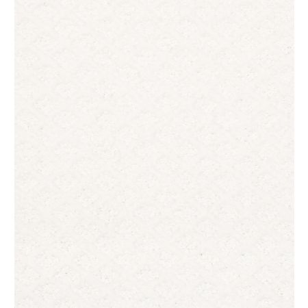 Shaw Floors FOUNDATIONS Entwined With You White Hot