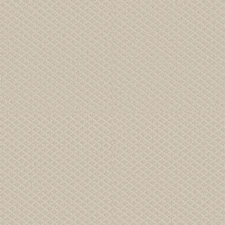 Shaw Floors FOUNDATIONS Entwined With You Alabaster