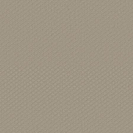 Shaw Floors FOUNDATIONS Entwined With You Studio Taupe