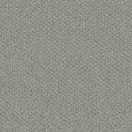 Shaw Floors FOUNDATIONS Entwined With You Offshore Mist