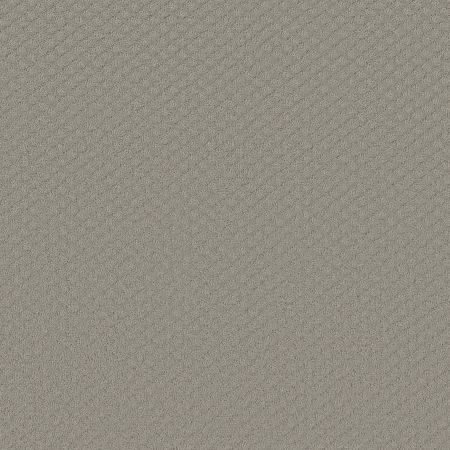 Shaw Floors FOUNDATIONS Entwined With You Silhouette