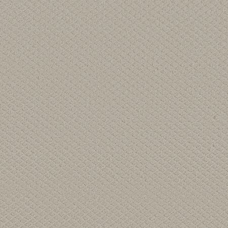 Shaw Floors FOUNDATIONS Entwined With You Rock Crystal