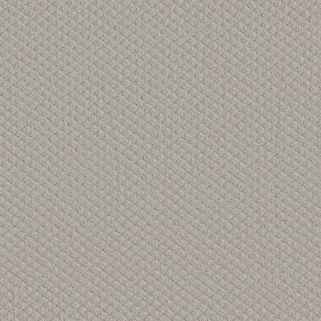 Shaw Floors FOUNDATIONS Entwined With You Etched Glass