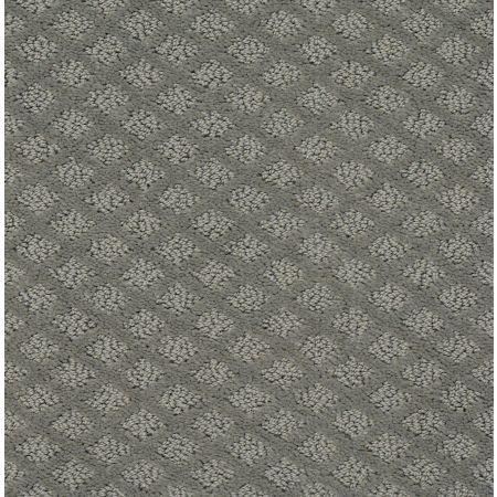 Shaw Floors FOUNDATIONS Entwined With You Metal