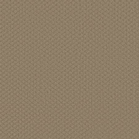 Shaw Floors SHAW FLOORING GALLERY Modern Charm Mushroom