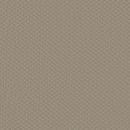 Shaw Floors FOUNDATIONS Entwined With You Park Avenue