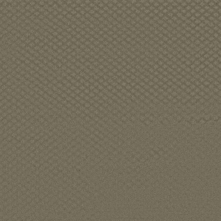 Shaw Floors FOUNDATIONS Entwined With You Abbey Stone