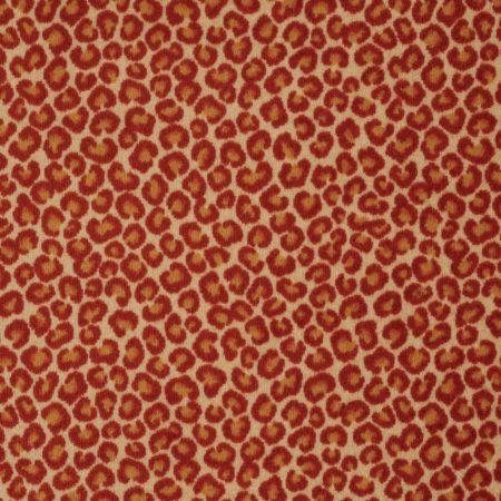 Philadelphia Commercial CALL OF THE WILD Cheetah Big Cat