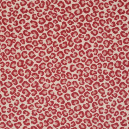 Philadelphia Commercial CALL OF THE WILD Cheetah Hang Loose