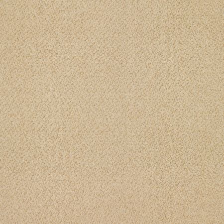 Philadelphia Commercial Primus Chief