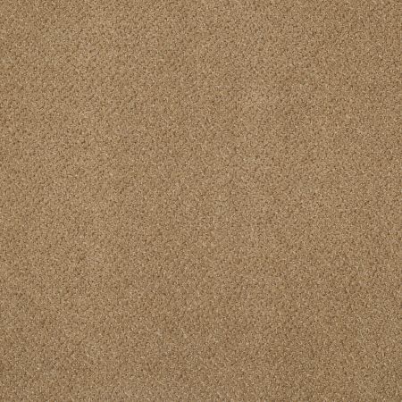 Philadelphia Commercial Primus Dominant