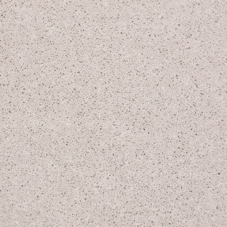 Shaw Floors SFA Take Part 12 Angel Wing