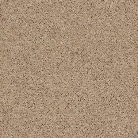 Shaw Floors All Star Weekend Ii 12' Tassel