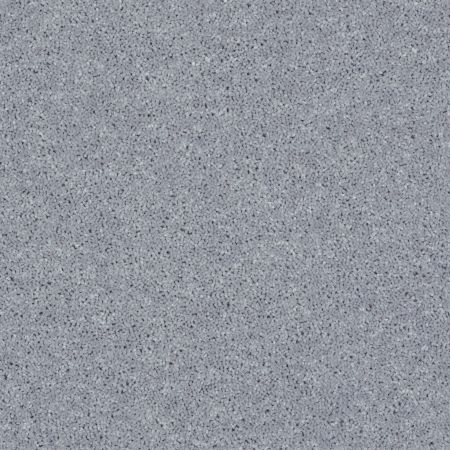 Shaw Floors Full Court 12' Dolphin