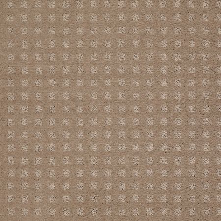 Shaw Floors SHAW FLOORING GALLERY Made To Be Yours Chameleon