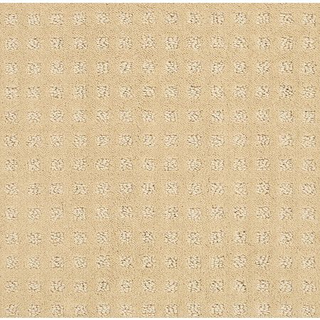 Shaw Floors FOUNDATIONS Alluring Disposition Golden Rule