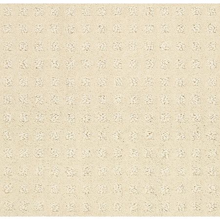 Shaw Floors FOUNDATIONS Alluring Disposition Treasure