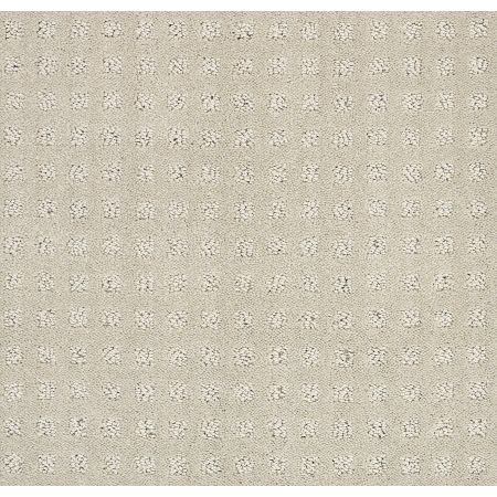 Shaw Floors FOUNDATIONS Alluring Disposition Mindful