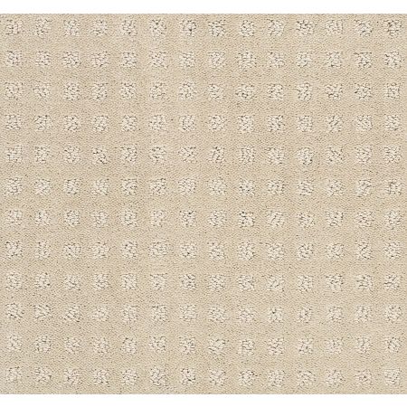 Shaw Floors FOUNDATIONS Alluring Disposition Barista